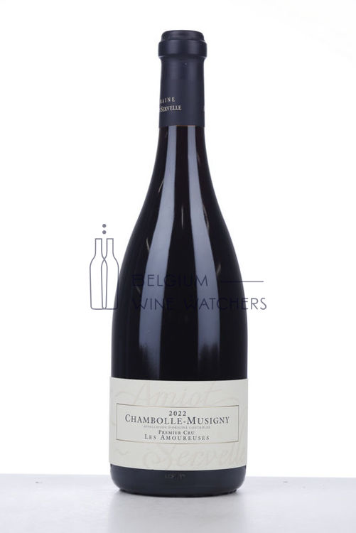 Picture of 2022 CHAMBOLLE MUSIGNY LES AMOUREUSES